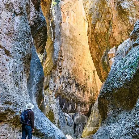מלון Casa Font De La Era
