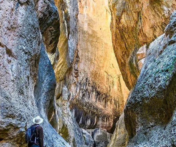 Hotel Casa Font De La Era